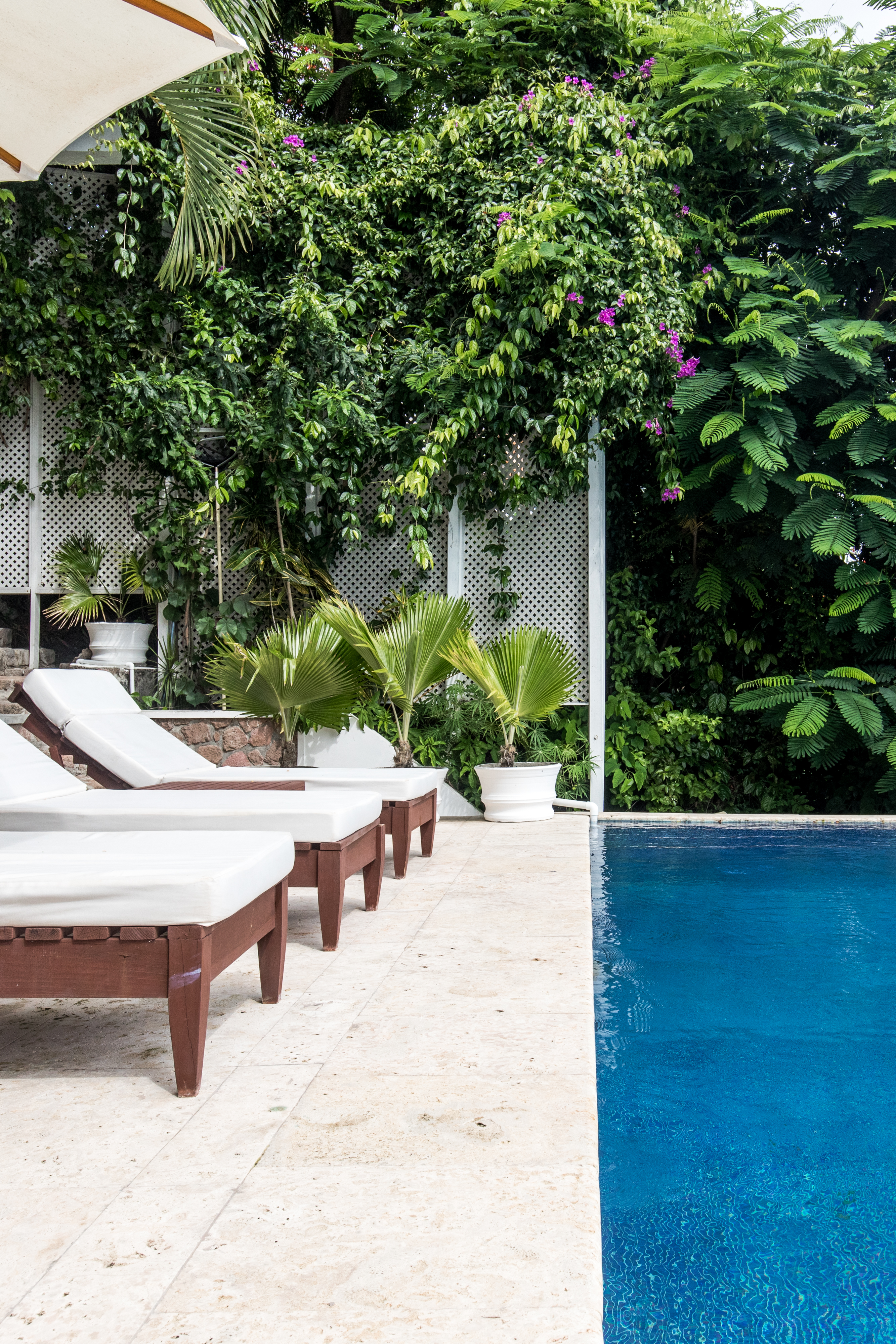 Bananaquit House | St Lucia | 2019 -119