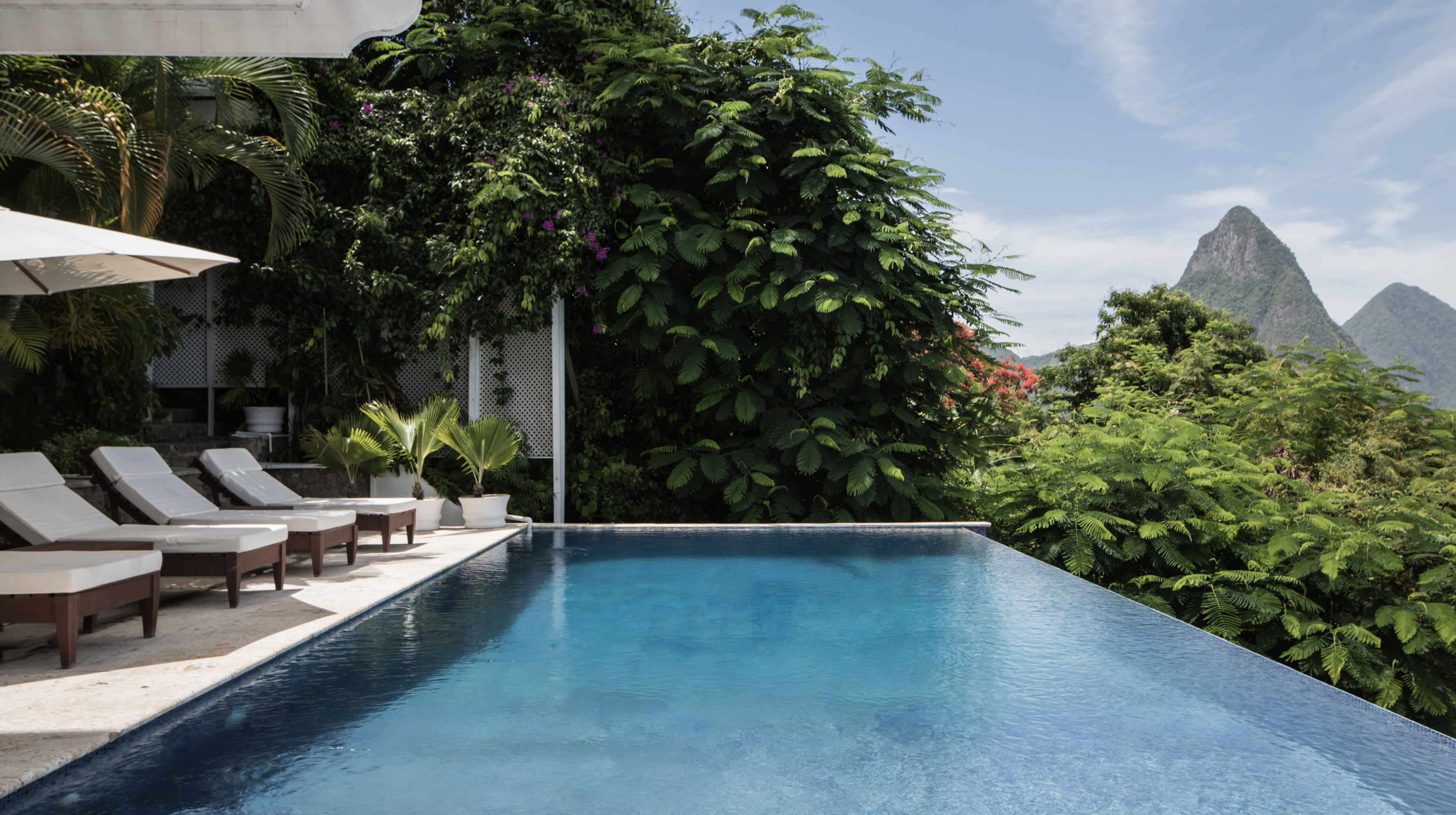 Bananaquit House | St Lucia | 2019 -52